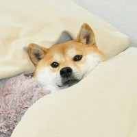 TeoAttack's den