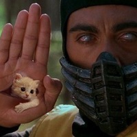 Casey Cat