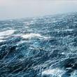 Coub - the world's oceans