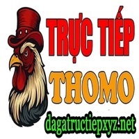 ĐÁ GÀ TRỰC TIẾP XYZ NET