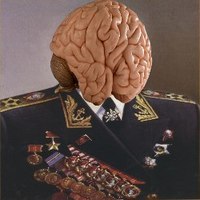 Admiral Brains