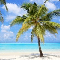 Maldives