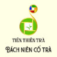 Tiên Thiên Trà