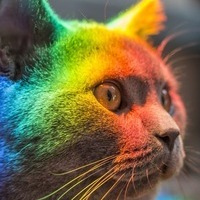 Алексей Скоробогатько