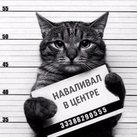 Антон Манушков