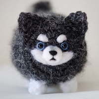 HuskyWusky