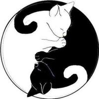Shamanka