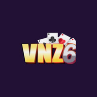 VNZ6 