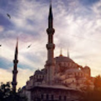 Cami Halısı Fiyatları