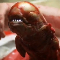 Дрогин Дроид