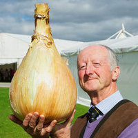 jebiste