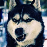 Дима Воробьев