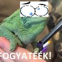 csan (sky-t director)