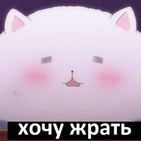КотМужик