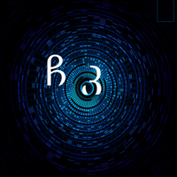 ჩაშუშული კომბოსტო 