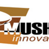 Psilocybe Semilanceata