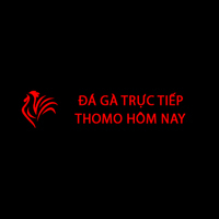 Đá gà trực tiếp Thomo hôm nay
