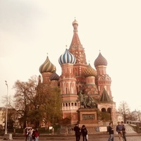 Sofia
