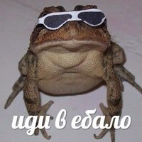 ZONDED