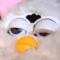 Ｔ Ｒ Ｏ Ｐ Ｐ Ｉ Ｅ