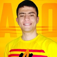 A10