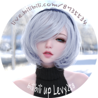 levy258