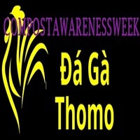Đá Gà Trực Tiếp Thomo