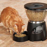 Arf Pets Automatic Pet Feeder