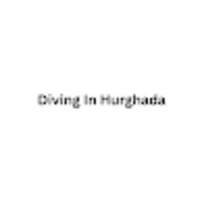  Diving In Hurghada