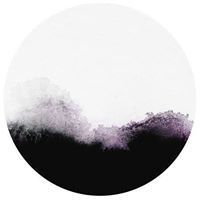 Alexander  Surzhikov