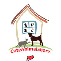 CuteAnimalShare