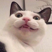 что ты тут забыл?