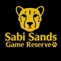 Sabi Sands Lodges