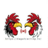 Đá gà trực tiếp