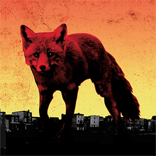 Coub profile picture for @theprodigy