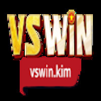 VSWIN