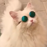 Szalay_Salamon