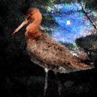 Александр Куликов