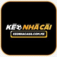 Kèo nhà cái 5 - Cá Cược Minh Bạch, Công Bằng