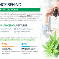 Wish Lab CBD Oil