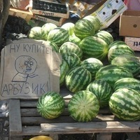 NaNaxyi