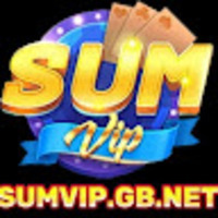 SUMVIP gb net