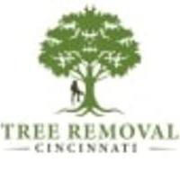 Tree Removal Cincinnati