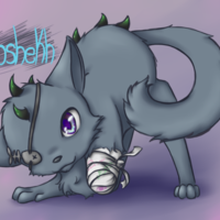 Khoshekh The Cat