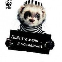 Артур Гиззатуллин