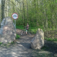 Leonid Tsianid
