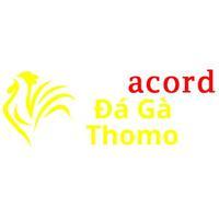 Đá Gà Trực Tiếp Thomo