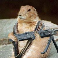 Андрон Андройдовичь