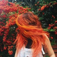 An_Summers