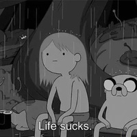 _Plausible